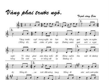 Vàng phai trước ngõ sheet, có lời 