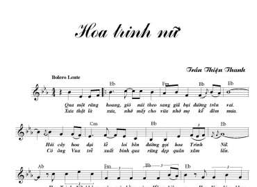 Hoa Trinh Nữ sheet có lời 