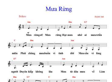 Mưa Rừng sheet có lời