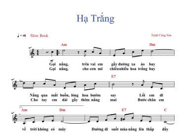 Hạ Trắng sheet có lời 