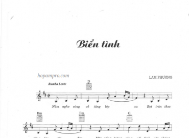 Biển Tình sheet có lời