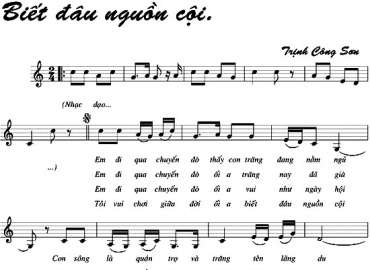 Biết đâu nguồn cội sheet có lời