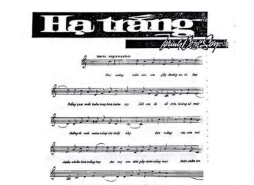 Hạ trắng sheet có lời