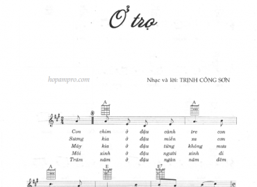 Ở trọ sheet có lời