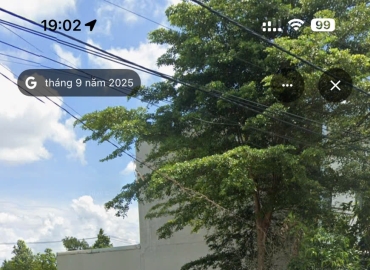 Thủ Tục Cấp Đổi Sổ Đỏ