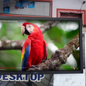 LCD DELL màn hình 23 INCH đẹp MSP:RDLCD5