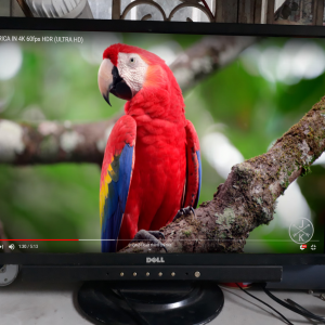 LCD DELL màn hình 24INCH đẹp MSP:RDLCD4