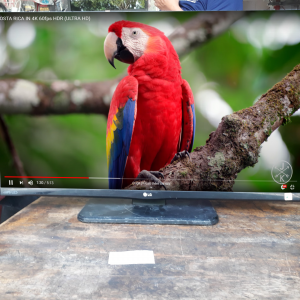 LCD LG màn hình full viền 24INCH MSP: RDLCD2